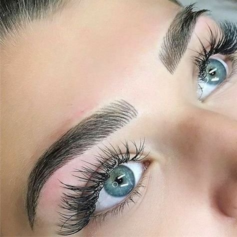 Curso de Alisado y Tinte de Cejas